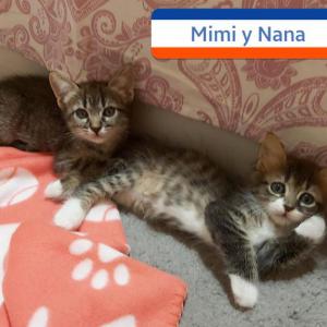 Mimi y Nana