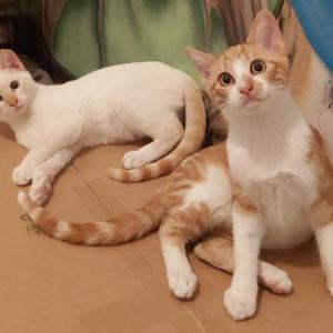 Nube y Olivia