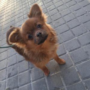 Nilo